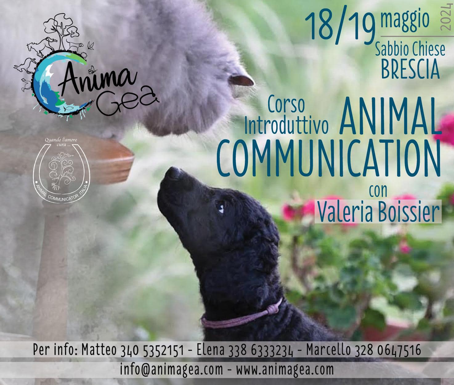 Corso Introduttivo Animal Communicator