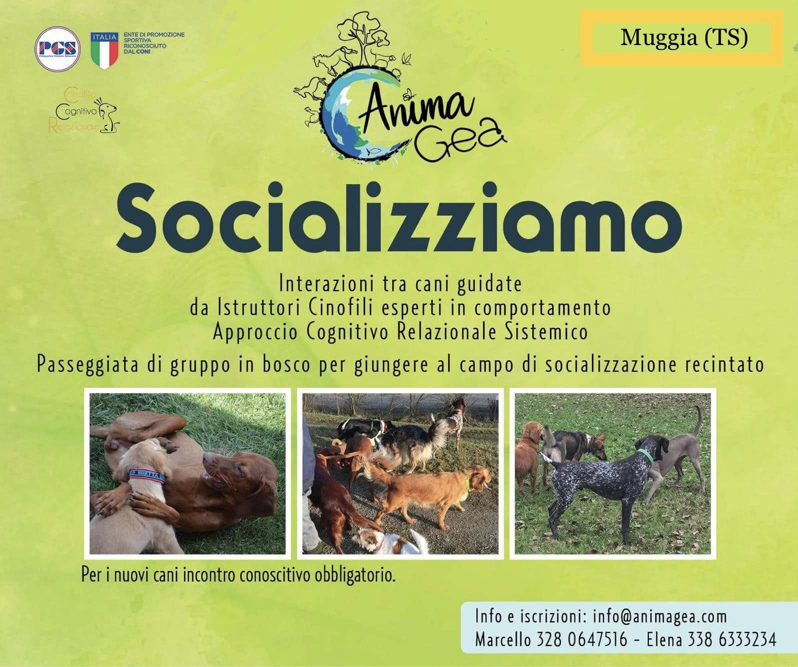 SOCIALIZZIAMO