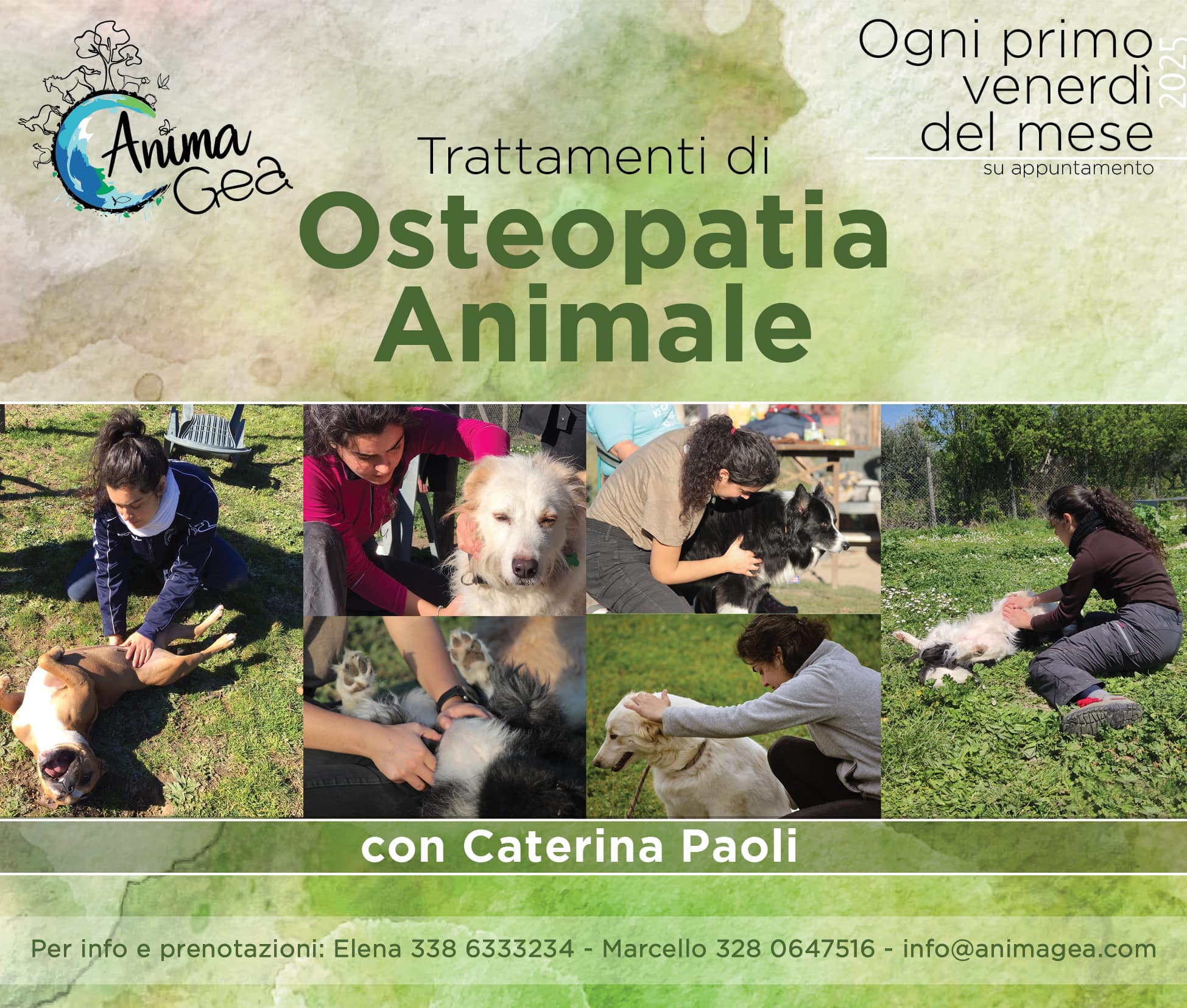 Trattamenti di Osteopatia Animale